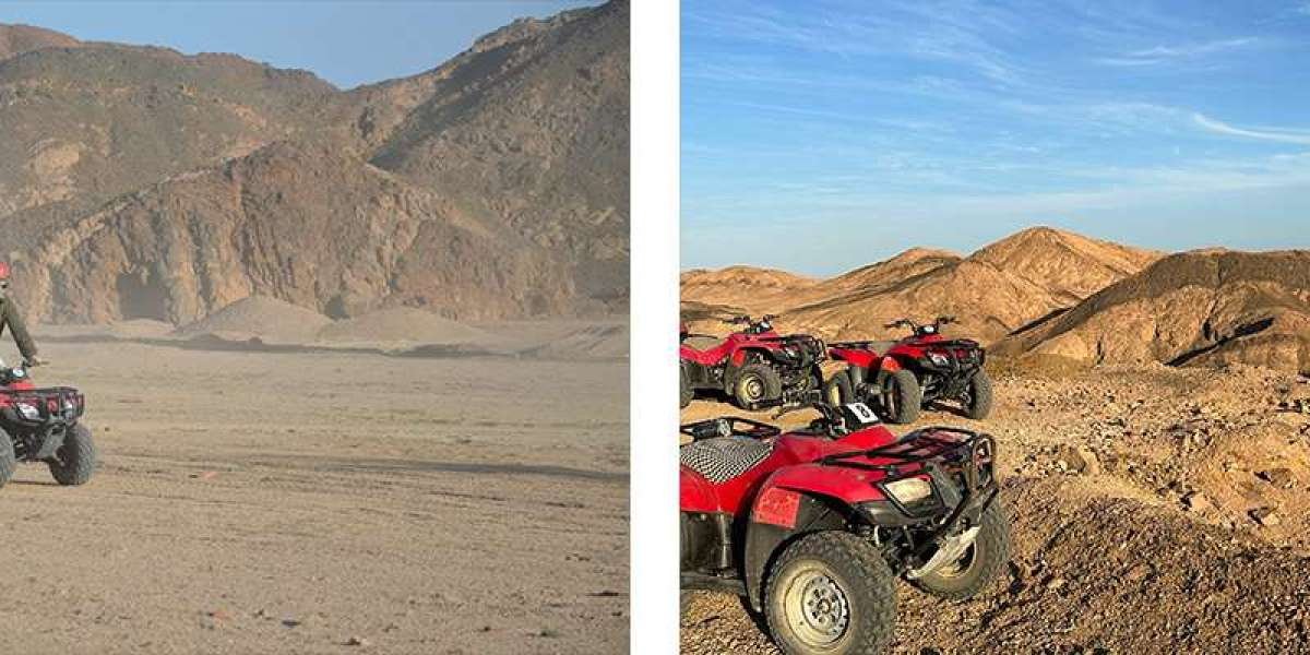 Schauinsland Reisen Ausflüge in Marsa Alam: Entdecken Sie die Schönheit des Roten Meeres
