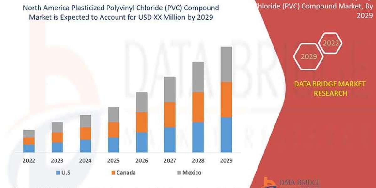 North America Plasticized PVC Compound Market: Durable and Adaptable Materials for Industry Use