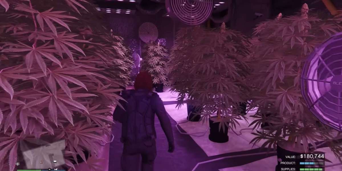 How to Make Money with MC Businesses in GTA Online 2025
