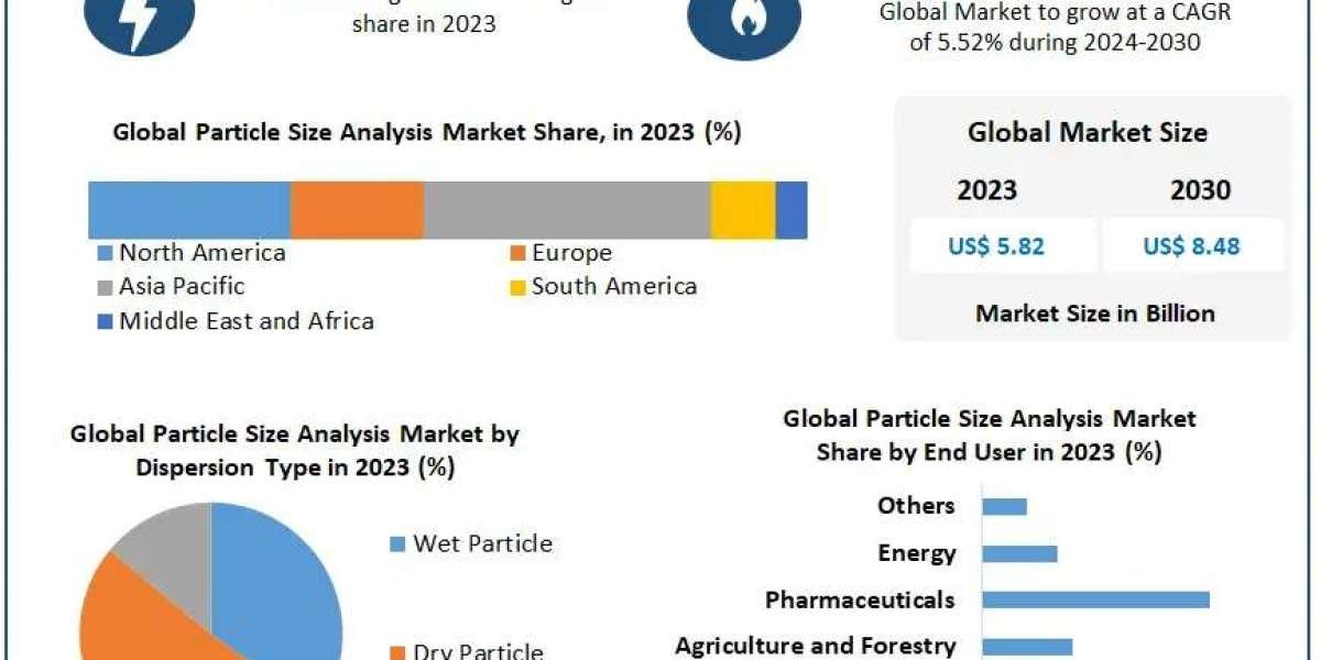 ﻿Particle Size Analysis Market Overview, Size Estimates, and Future Trends (2024–2030)
