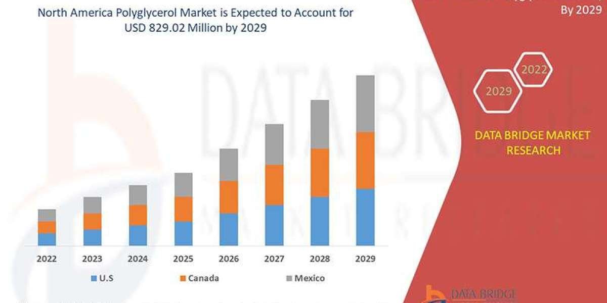 North America Polyglycerol Market Demand, Opportunities and Forecast By 2029