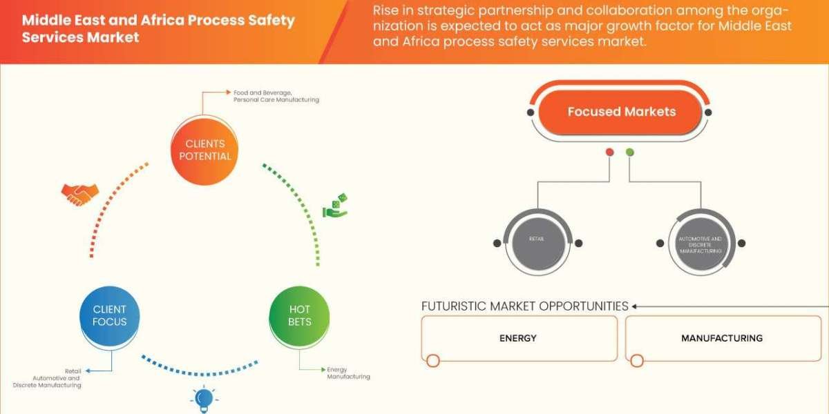 Middle East and Africa Process Safety Services Market Revenue Forecast: Growth, Share, Value, and Trends