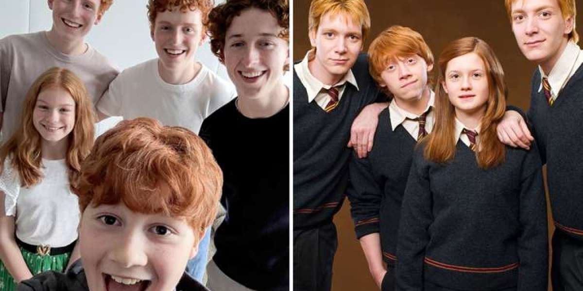 Harry Potter Series: Weasley Family Cast Revealed
