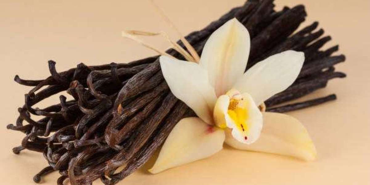 Vanilla Market Outlook: Key Drivers and Restraints