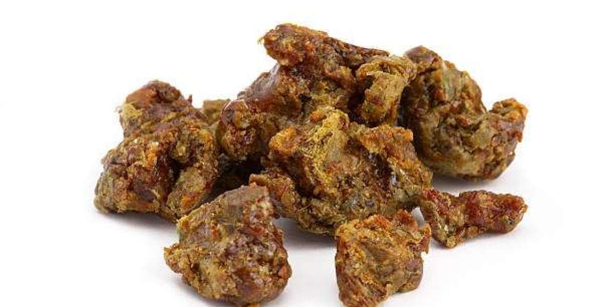 Propolis Market Dynamics: Consumer Preferences and Market Shifts