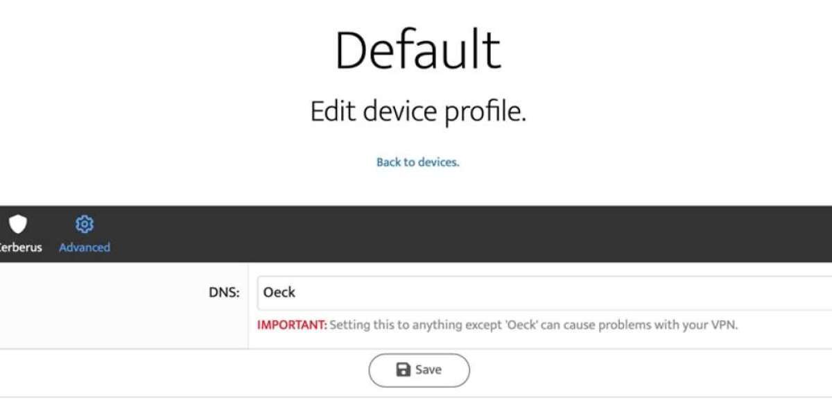 Oeck VPN Discontinued: Features & Security Overview