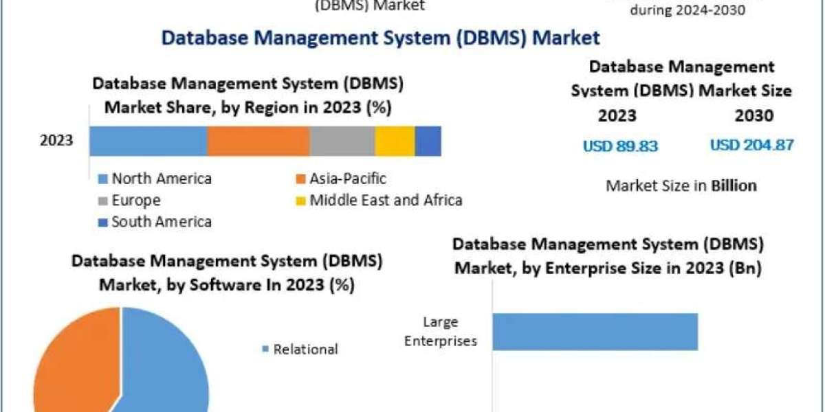 Database Management System (DBMS) Market: Opportunities for Vendors and Technology Providers 2030
