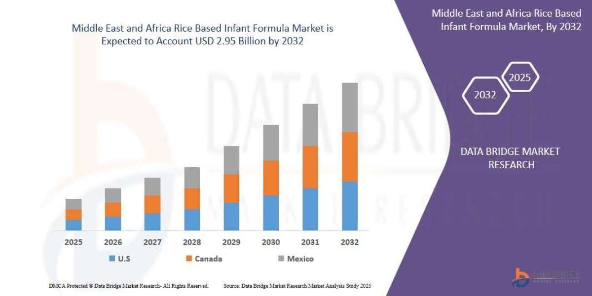 Middle East and Africa Rice Based Infant Formula Market Overview, Growth Analysis, Trends and Forecast By 2032