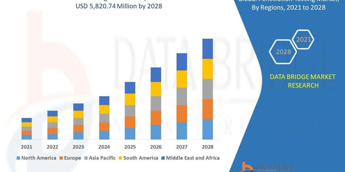 Global Penetration Testing Market – Industry Trends and Forecast to 2028