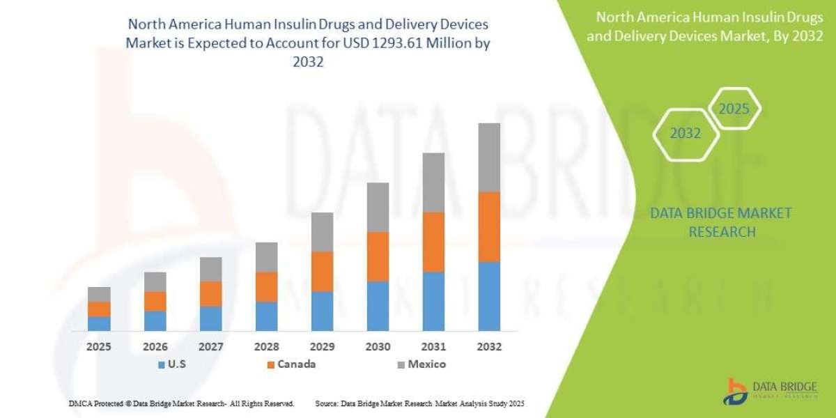 North America Human Insulin Drugs and Delivery Devices Market Overview, Growth Analysis, Trends and Forecast By 2032
