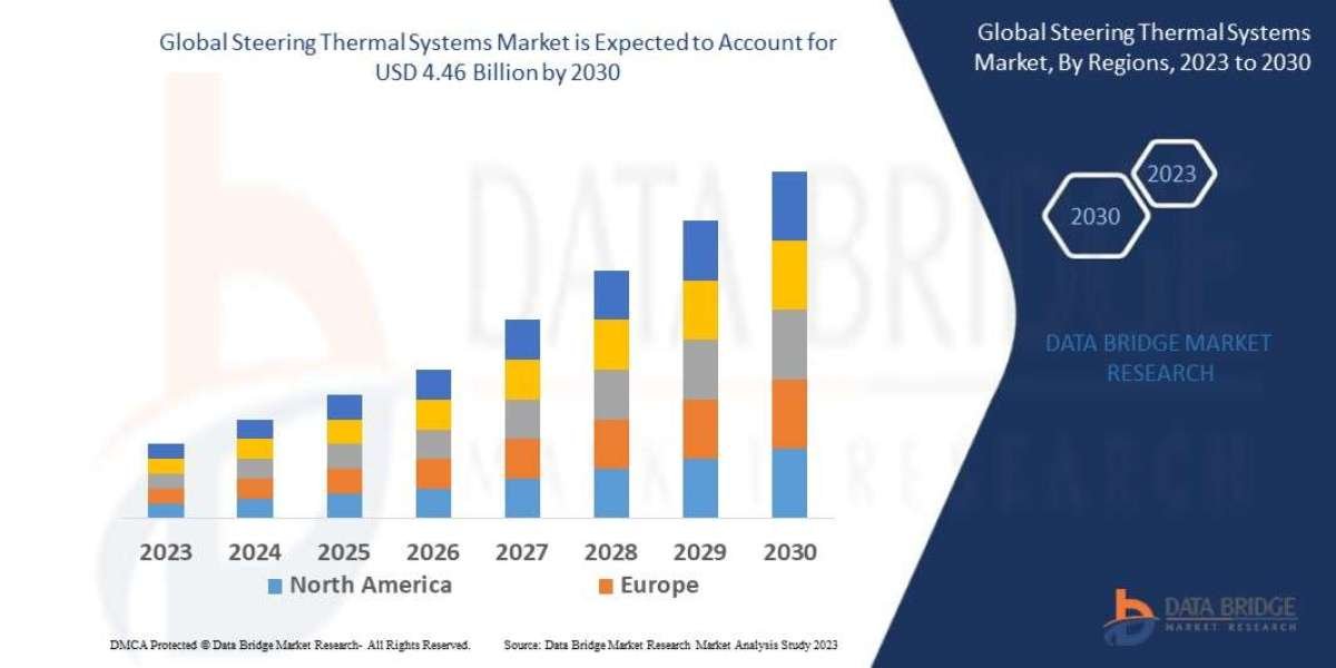 Steering Thermal Systems Market Strategic Research and Precise Outlook 2030