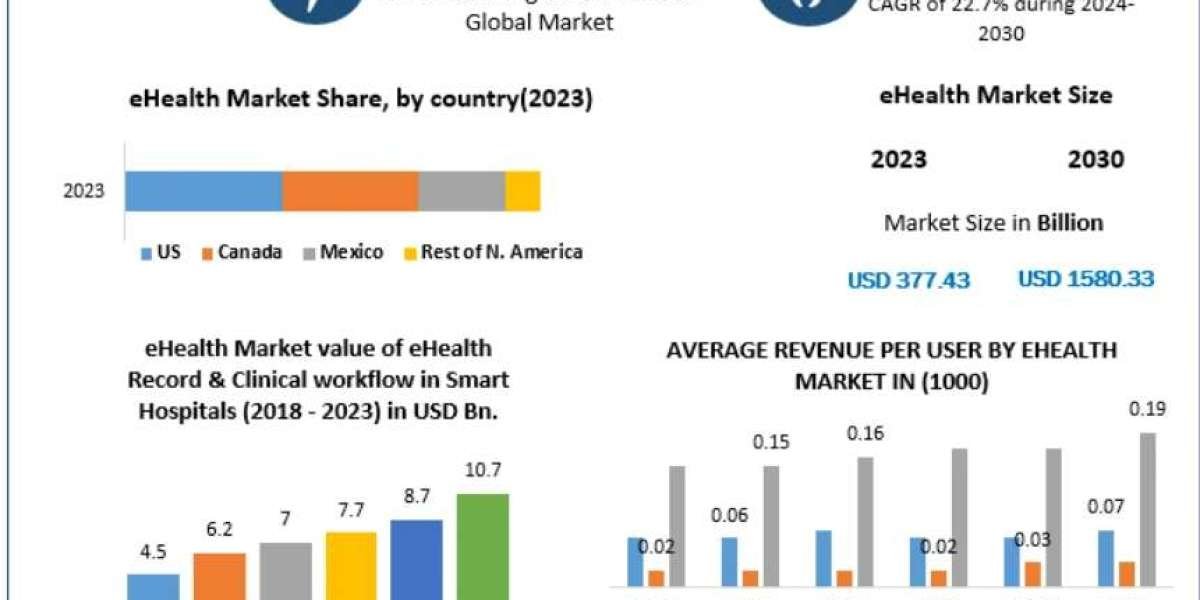 eHealth Market for Insurers: Enhancing Data Management and Policy Creation 2030