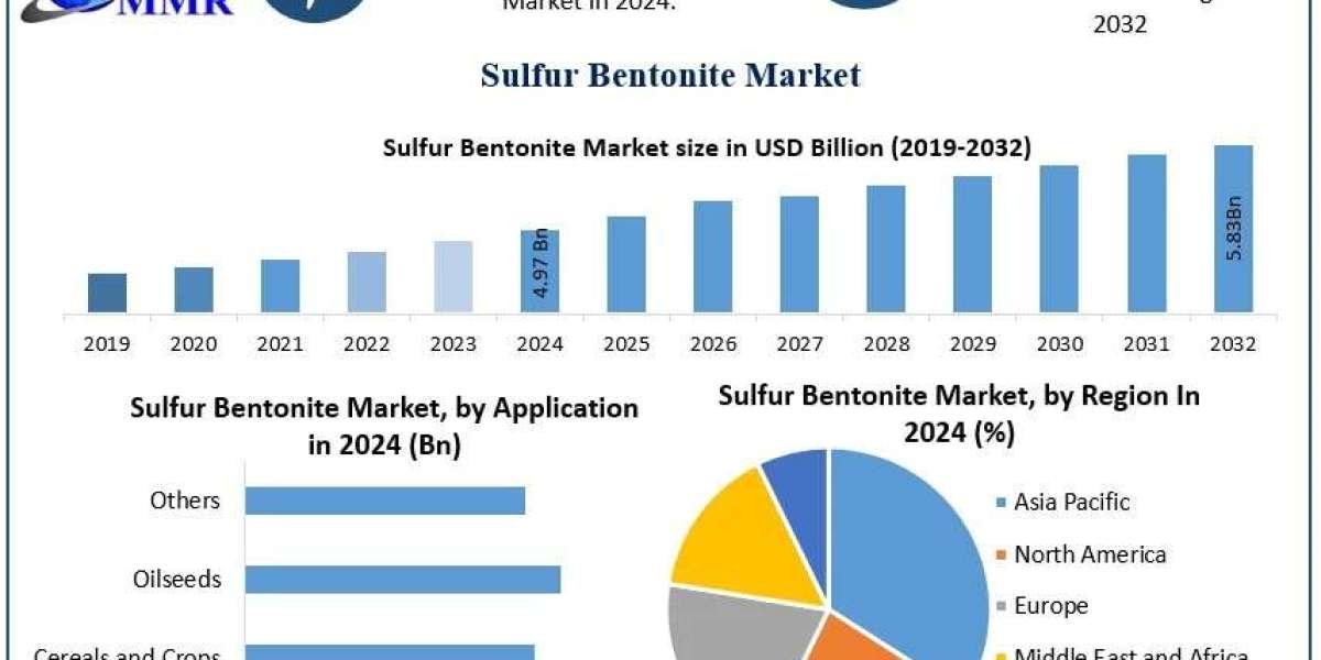 Sulfur Bentonite Market Demand, Industry Overview and Forecast 2025–2032
