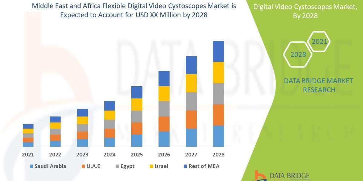 Middle East and Africa Flexible Digital Video Cystoscopes Market Overview, Growth Analysis, Trends and Forecast By 2028