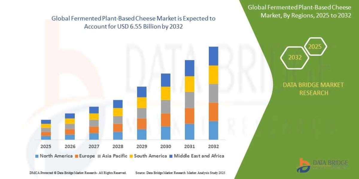 Fermented Plant-Based Cheese Market Overview, Growth Analysis, Trends and Forecast By 2032