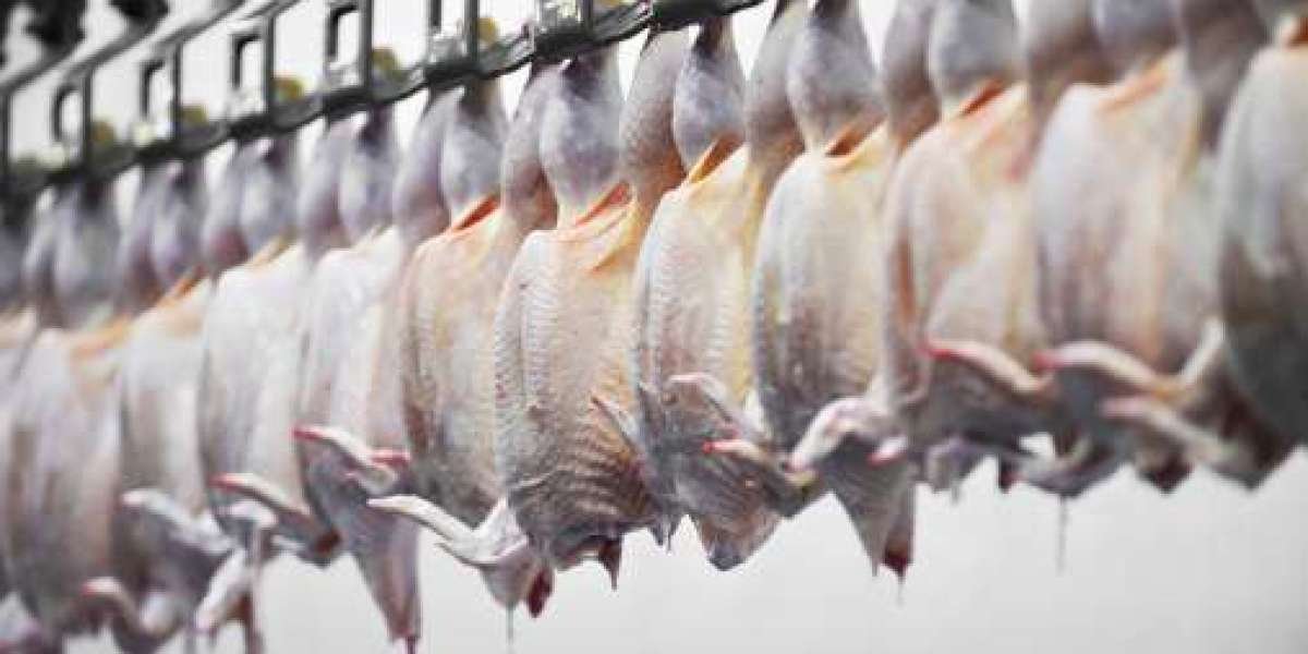 Meat Processing Equipment Market Research Dynamics: Supply Chain, Pricing, and Distribution Trends