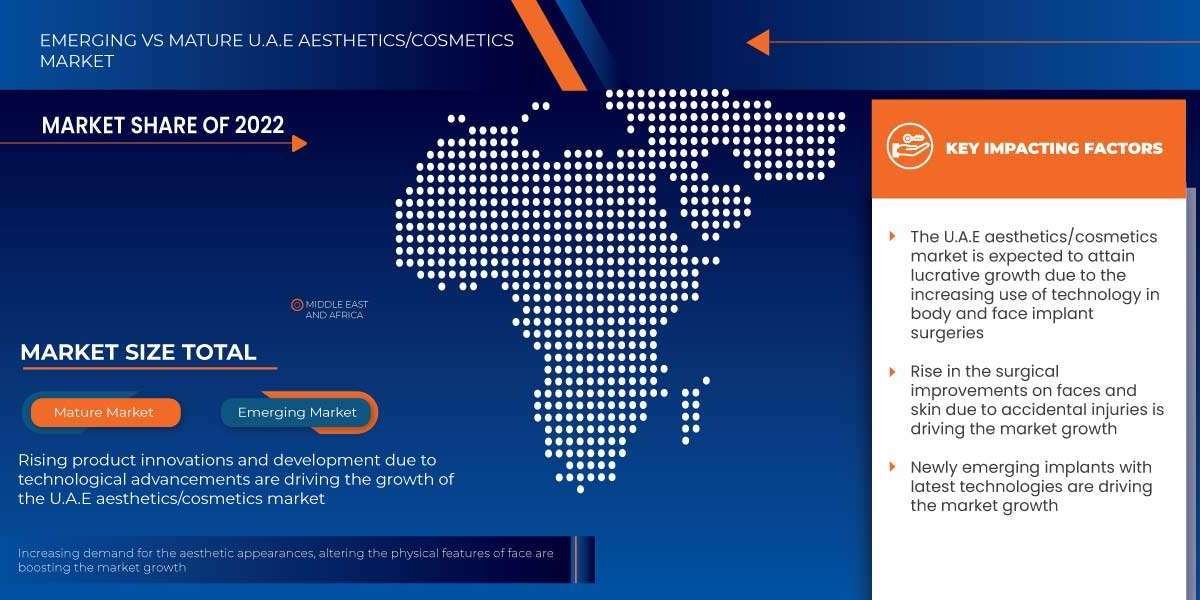 U.A.E Aesthetics/Cosmetics Market Forecast : Size, Share, Trends, and Competitive Analysis