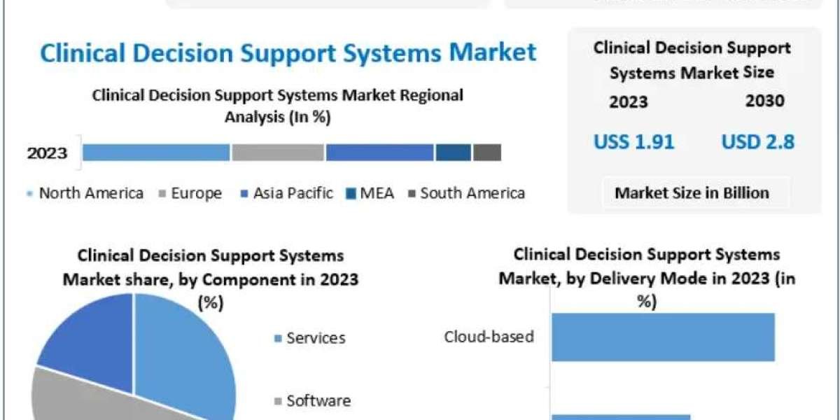 Clinical Decision Support Systems Market Drivers: Reducing Medication Errors and Enhancing Efficiency