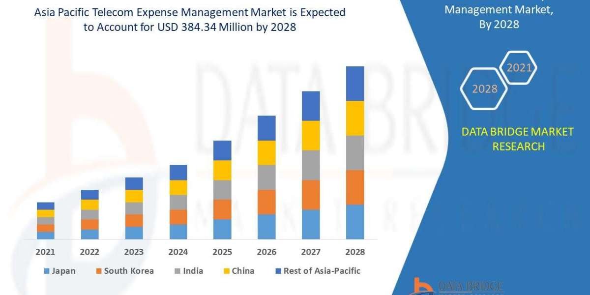 Asia Pacific Telecom Expense Management Market Scope, Segmentation, and Key Insights 2025–2032