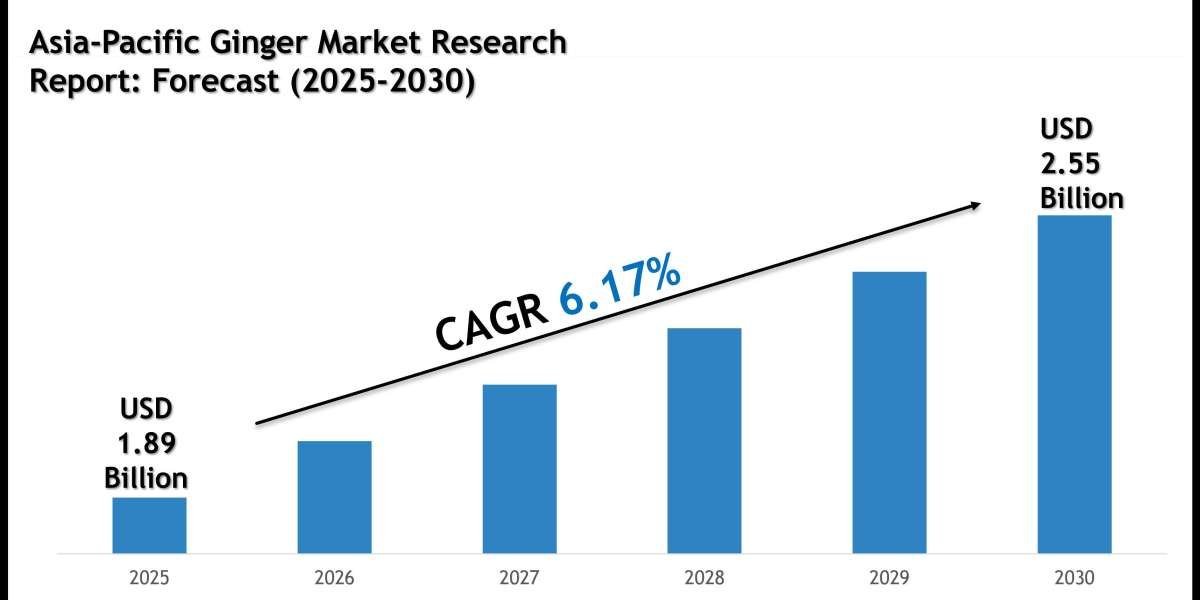 Asia-Pacific Ginger Market Growth Outlook 2030: Volume Trends and Strategic Insights