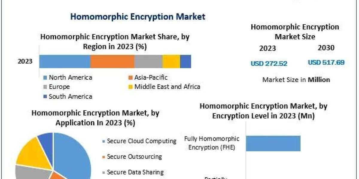 ﻿Homomorphic Encryption Market Size, Growth Opportunities, and Outlook (2024–2030)