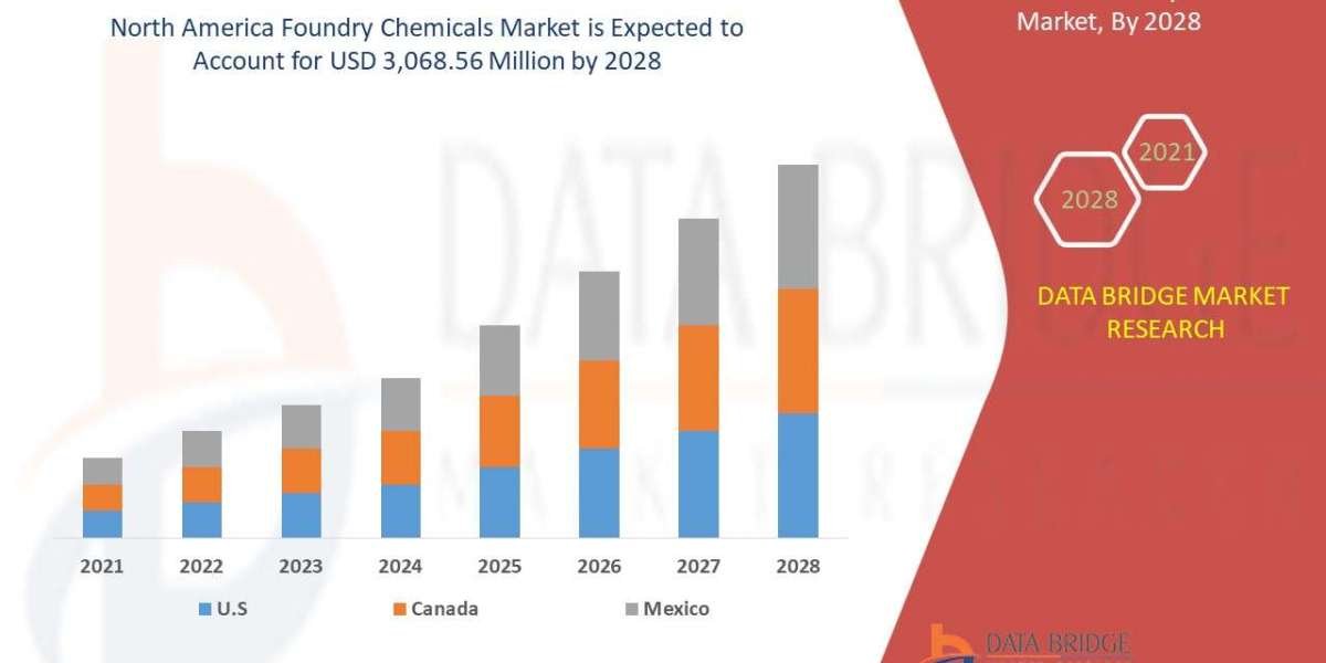 North America Foundry Chemicals Market Scope, Segmentation, and Key Insights 2025–2032