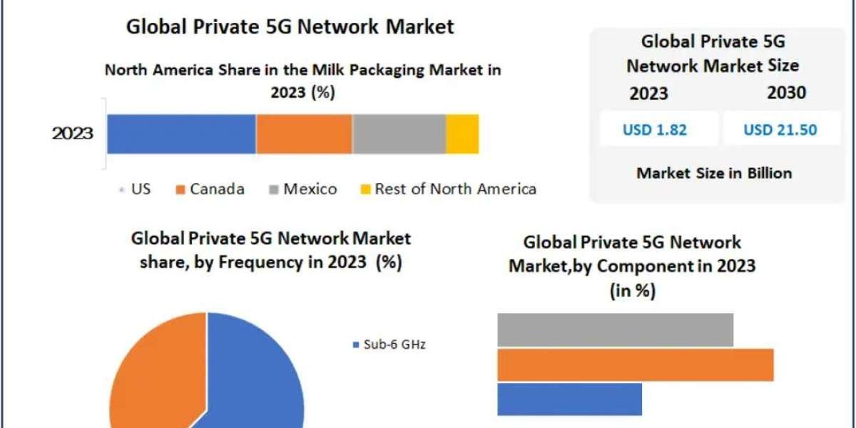 Private 5G Network Market Impact of IoT and Edge Computing 2030