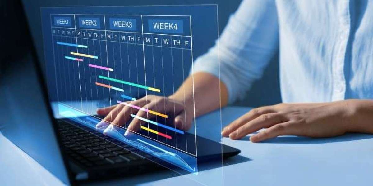 The Rising SMB Software Market Demand Across Global Markets