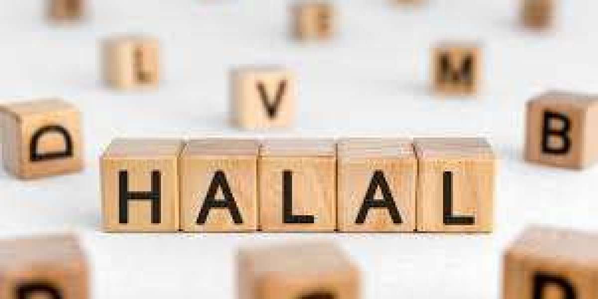 Indonesia Halal Market In-Depth Growth Study: Size, Share, Trends & Segment Forecast