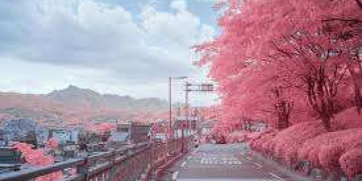 Korea Aesthetic Market Outlook: Growth, Trends, Size, and Segmentation Insights