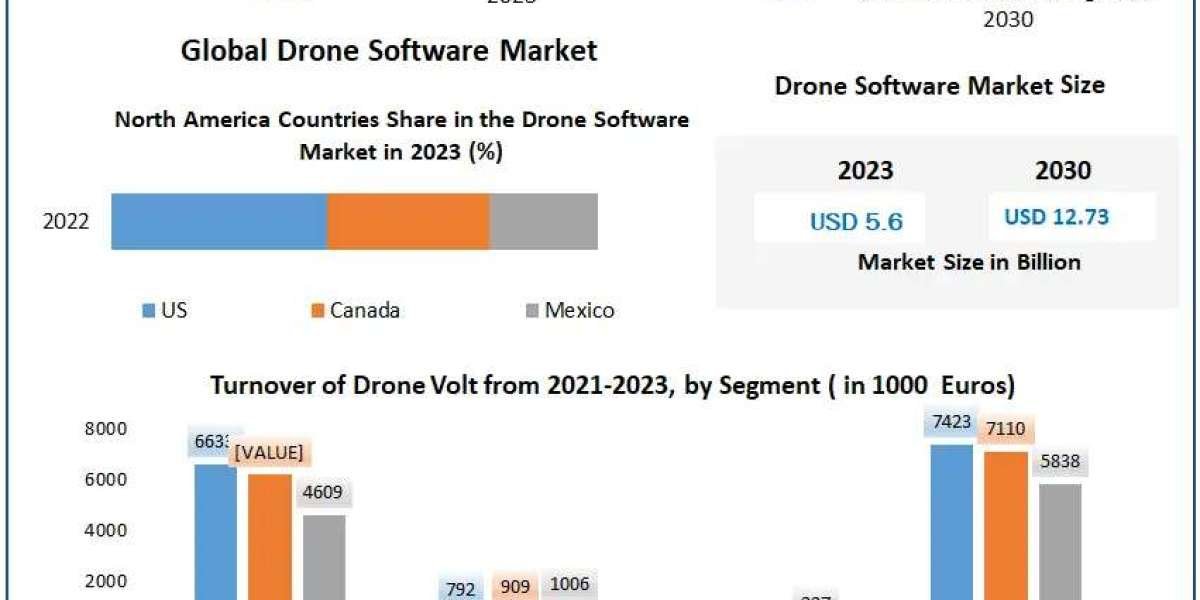 ﻿Drone Software Market Size, Demand Drivers, and Forecast (2024–2030)