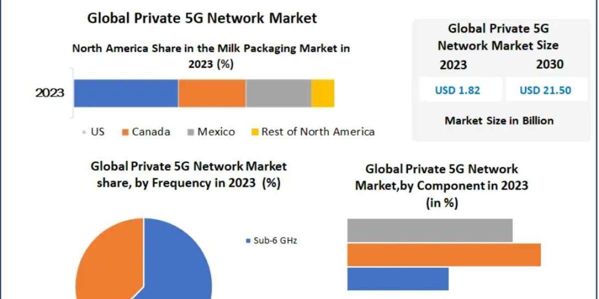 Global Private 5G Network Market Forecast: Explosive Growth as Enterprises Embrace Dedicated 5G Networks 2030