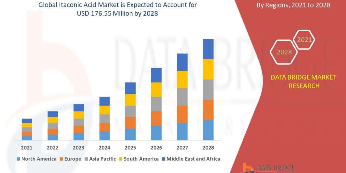 Itaconic Acid Market: Size, Share and Growth Forecast – Key Trends and Segment Analysis