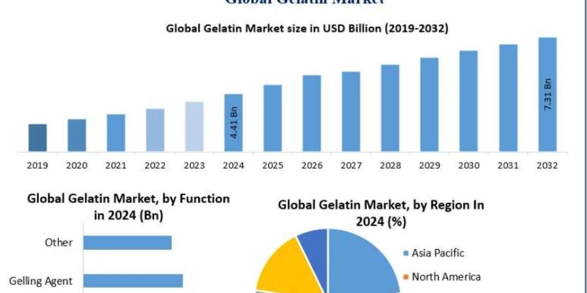 Gelatin Market Forecast: Long-Term Outlook for Bovine and Marine Gelatin