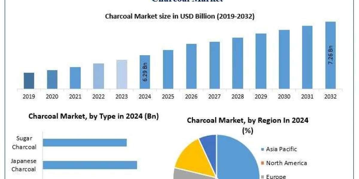 Charcoal Market Emerging Trends, Market Share Insights, and Future Outlook (2025–2032)