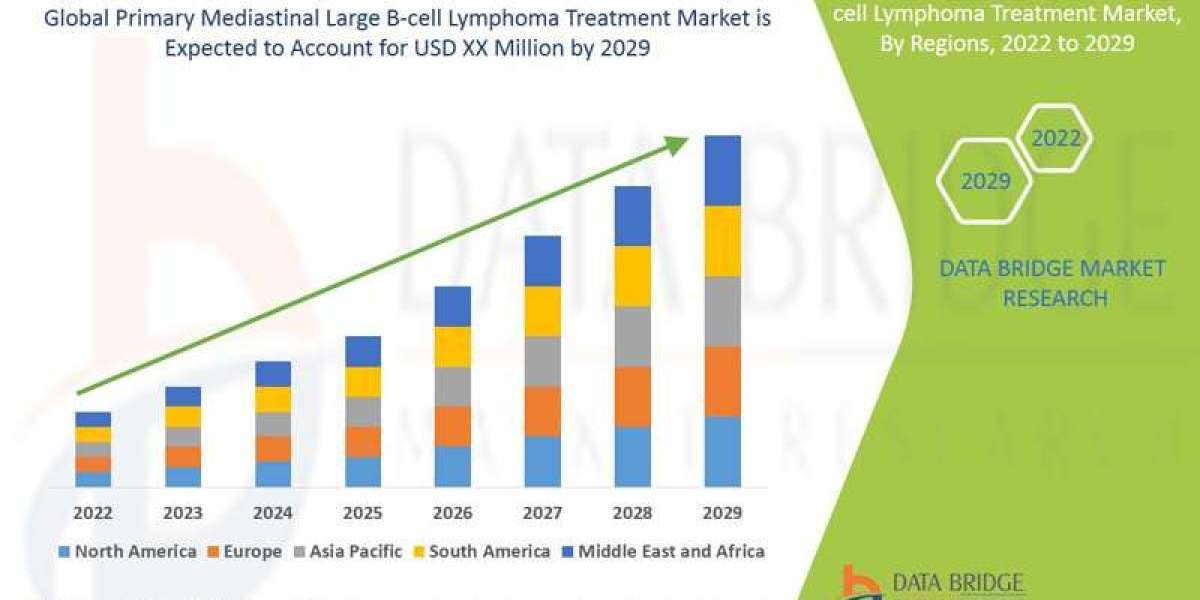 Primary Mediastinal Large B-cell Lymphoma Treatment Market Outlook: Growth, Trends, Size, and Segmentation Insights