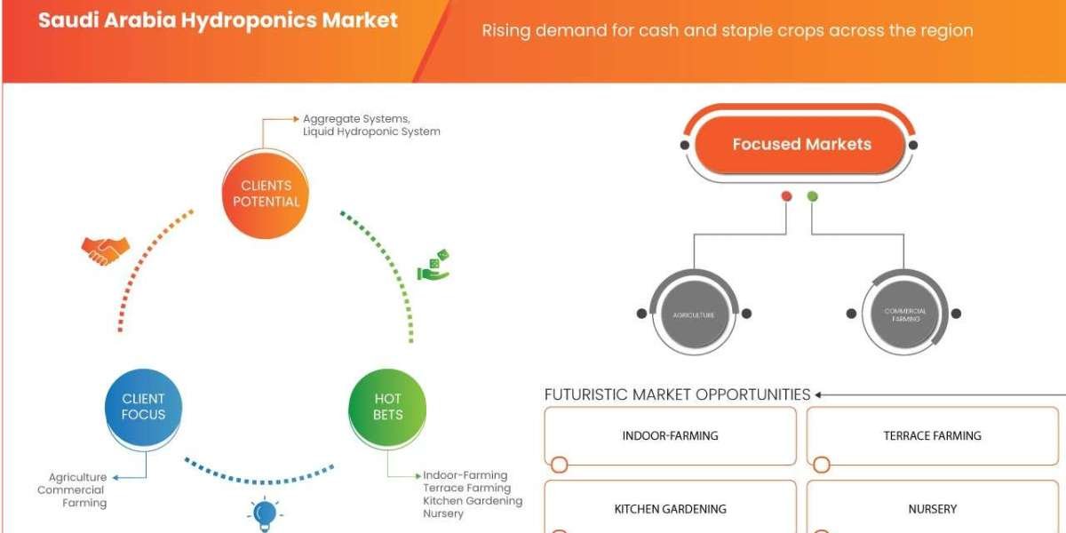 Saudi Arabia Hydroponics Market : Supply Chain, Pricing, and Forecast 2025 –2032
