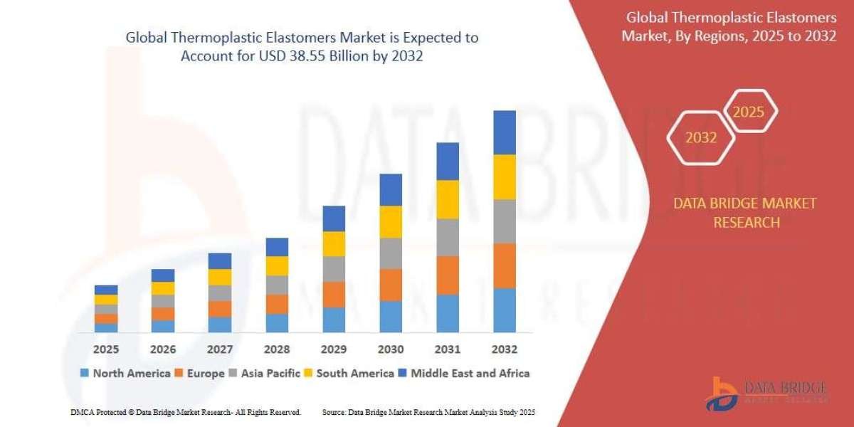 Thermoplastic Elastomers Market Opportunities and Trends Shaping the Industry