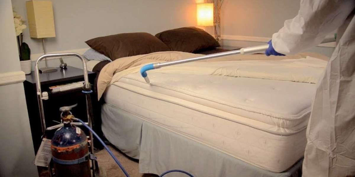 Safe and Effective Ways to Get Rid of Bed Bugs at Home