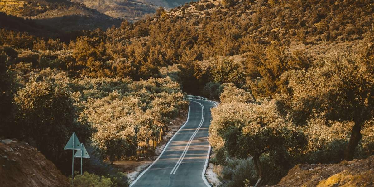 What's The Current Job Market For Cheap Spanish Driving License Professionals Like?