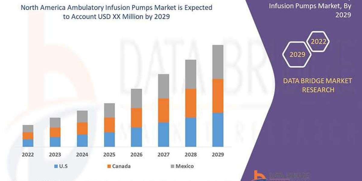 North America Ambulatory Infusion Pumps Market: Size, Share, Growth Trends & Forecast to 2030