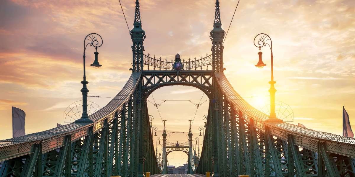 How Hungary License Application Became The Hottest Trend Of 2024