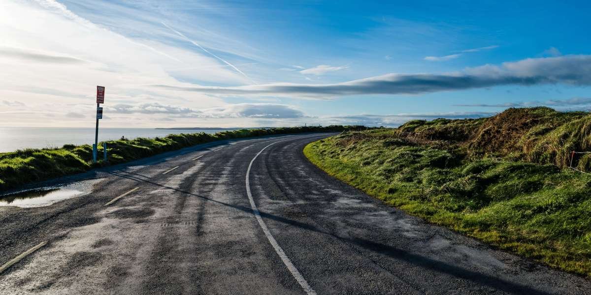 What's The Job Market For Cheap Irish Driver's Permit Professionals?