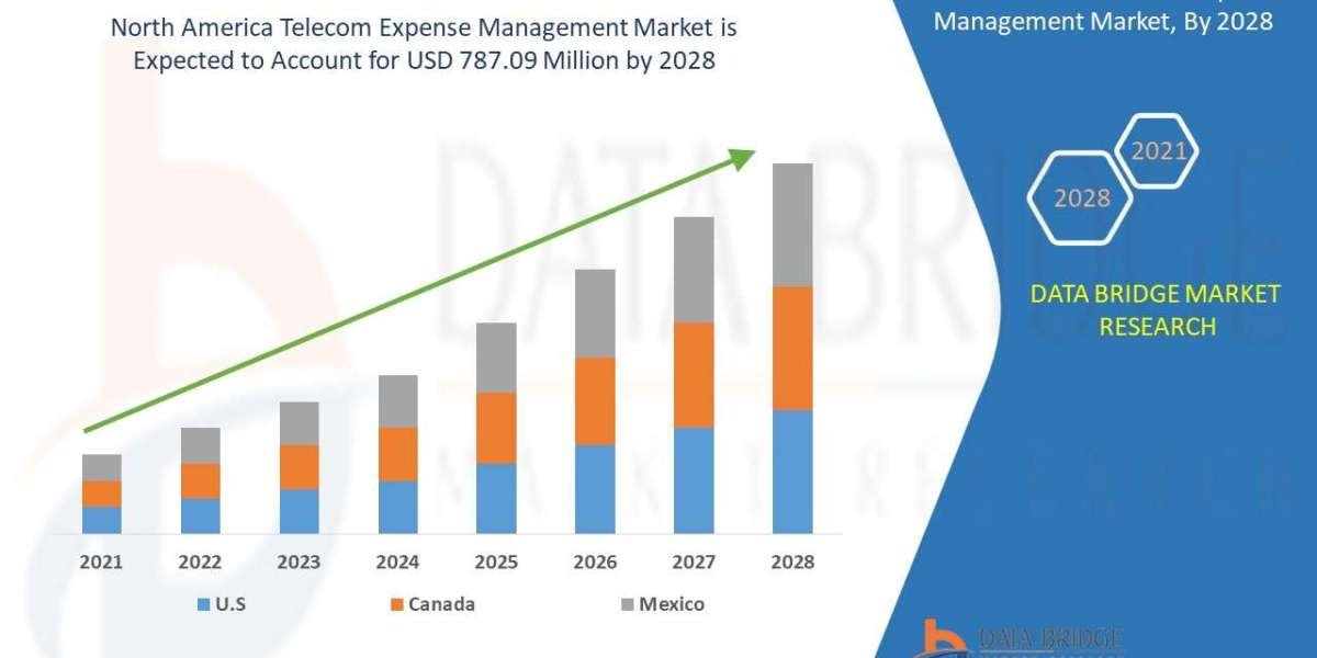 North America Telecom Expense Management Market Scope, Segmentation, and Key Insights 2025–2032