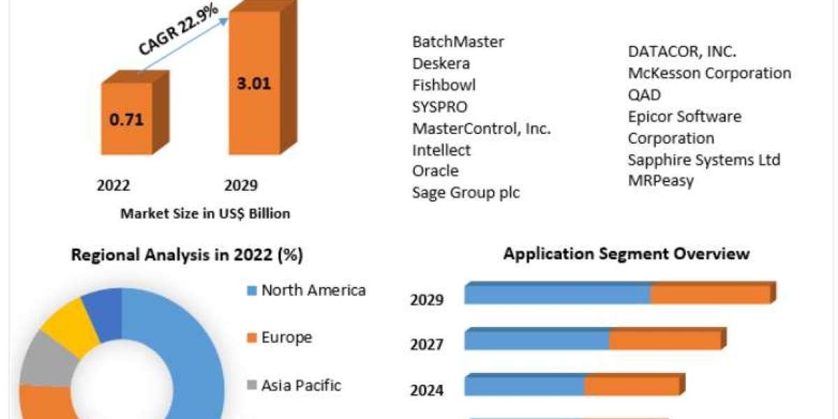 Pharmaceutical Manufacturing Software Market Dynamics: Growth Drivers and Challenges 2029