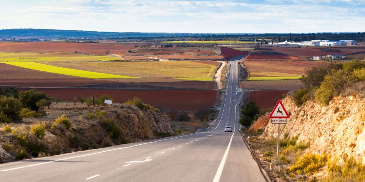 Why We Do We Love Buy Provisional Driving License Spain (And You Should Also!)