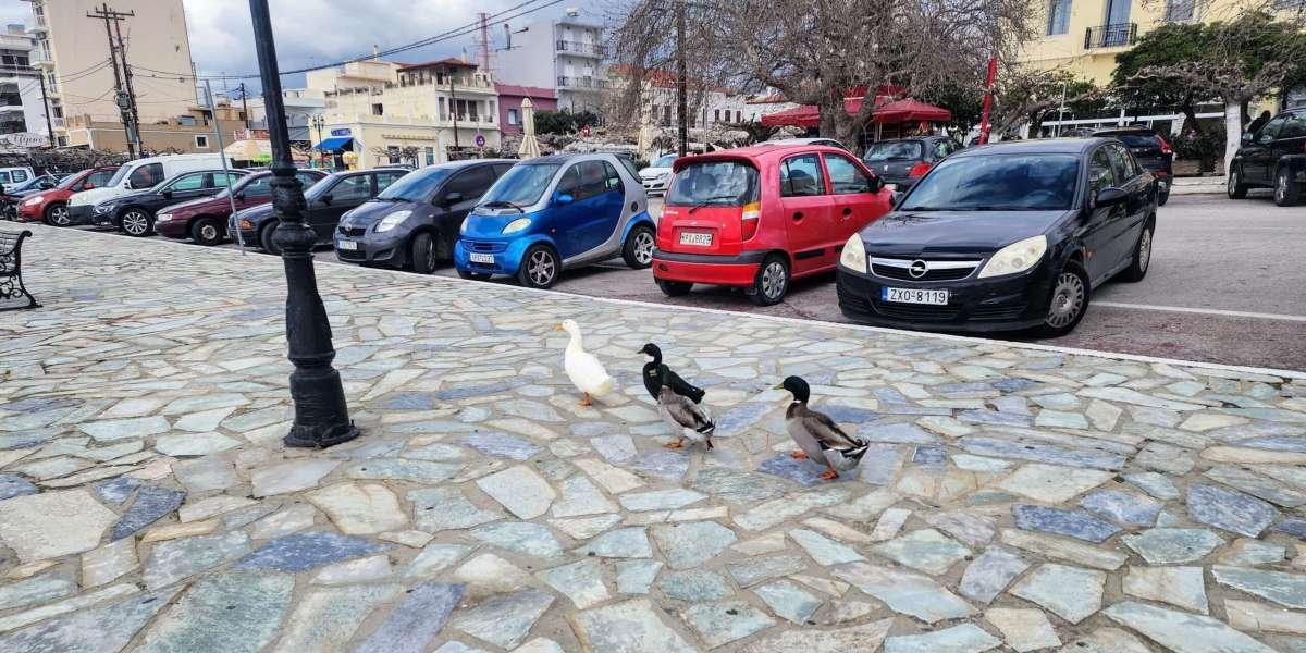 How Karistos Villas Are Transforming the Real Estate Market in Evia | Greece Invests