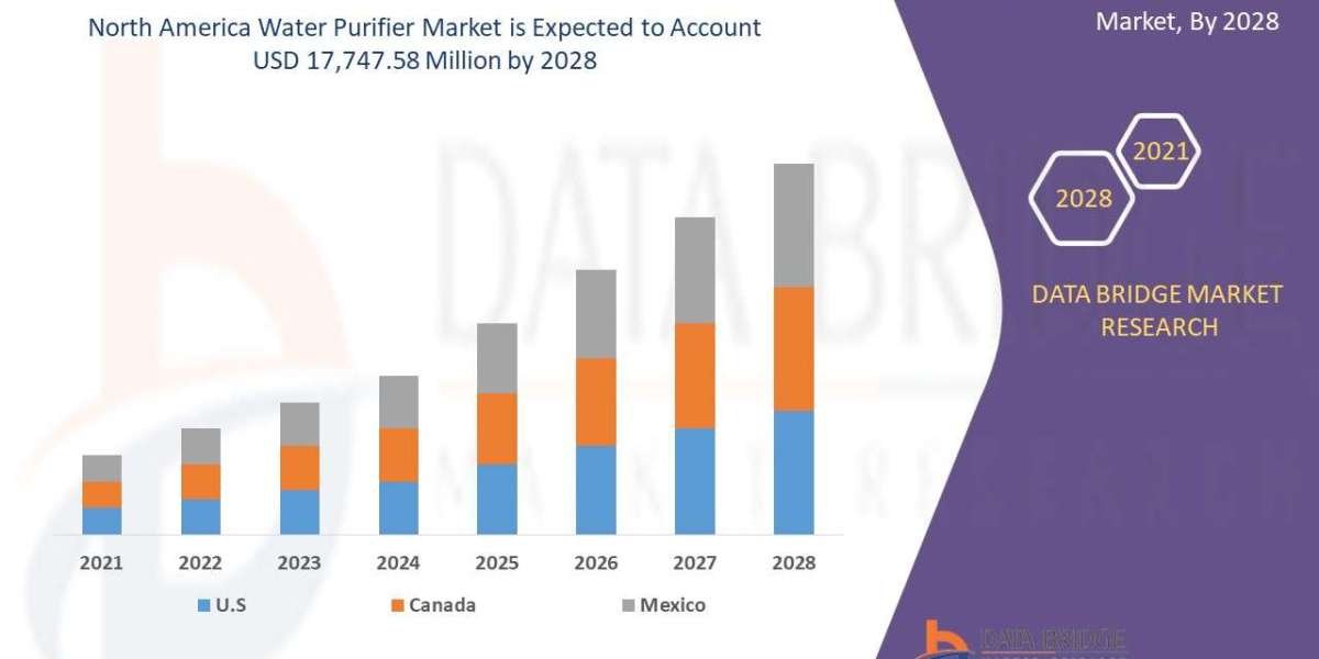 North America Water Purifier Market Share and Growth Forecast Across Major Regions