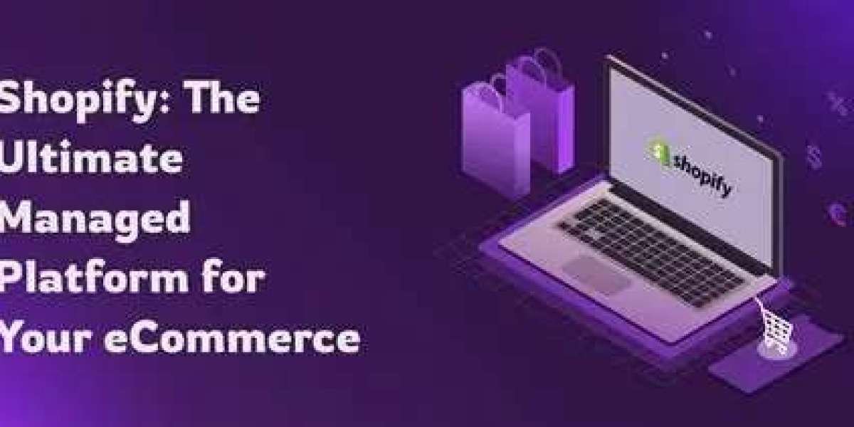 How a Shopify Expert Dubai Can Turbocharge Your Online Sales