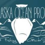 Homer Halibut Fishing Charters Alaska Ocean Pros Alaska Halibut Fishing  Adventur